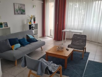 Debrecen-Nagyerdő, egyetemhez közel, Kodály Zoltán utcában lakás kiadó