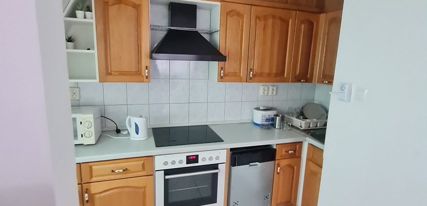 Debrecen-Nagyerdő, egyetemhez közel, Kodály Zoltán utcában lakás kiadó