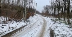 Nyíregyháza-Oros, Zártkert Aranyhomok utcai telek eladó