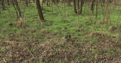 Nyíregyháza-Oros, Zártkert Aranyhomok utcai telek eladó