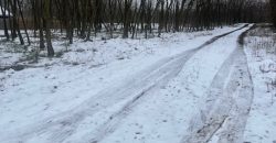 Nyíregyháza-Oros, Zártkert Aranyhomok utcai telek eladó