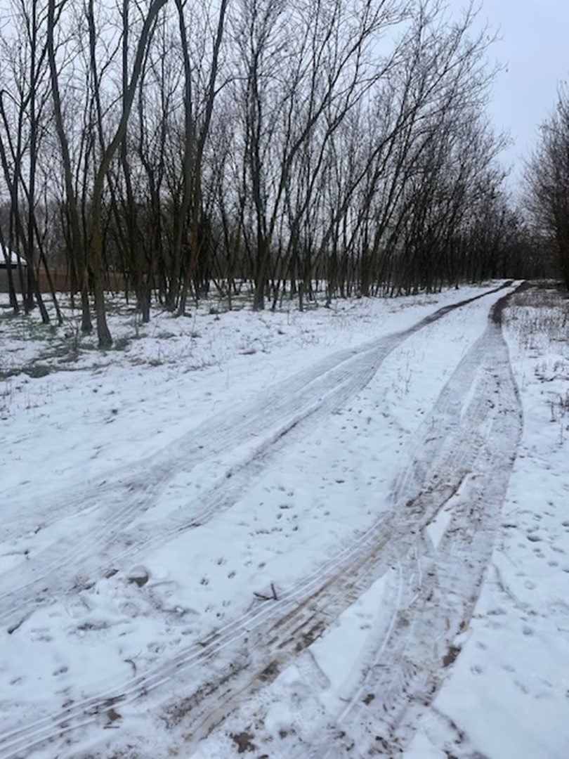 Nyíregyháza-Oros, Zártkert Aranyhomok utcai telek eladó