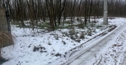 Nyíregyháza-Oros, Zártkert Aranyhomok utcai telek eladó