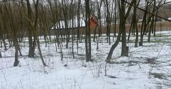 Nyíregyháza-Oros, Zártkert Aranyhomok utcai telek eladó