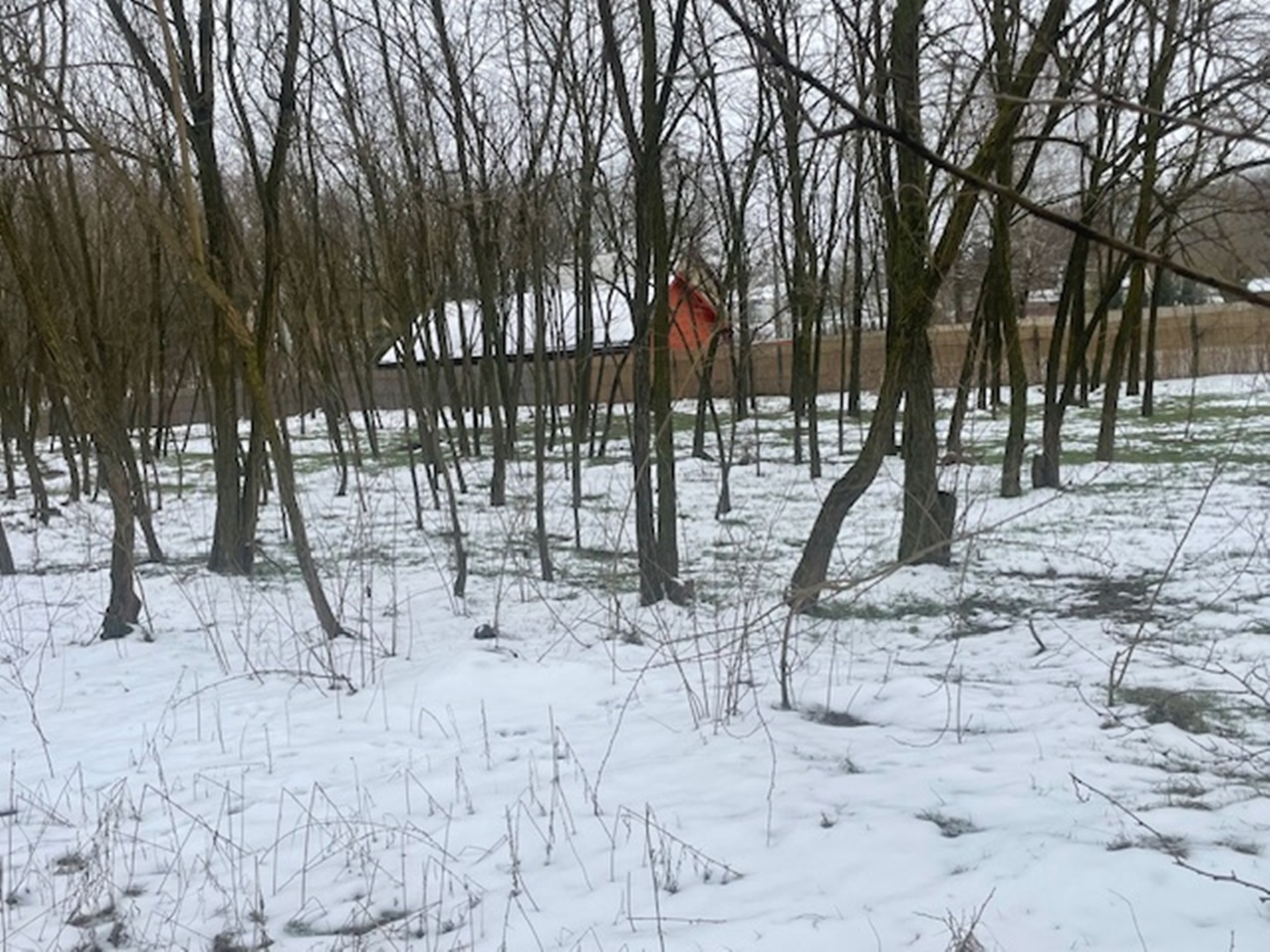 Nyíregyháza-Oros, Zártkert Aranyhomok utcai telek eladó