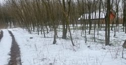 Nyíregyháza-Oros, Zártkert Aranyhomok utcai telek eladó