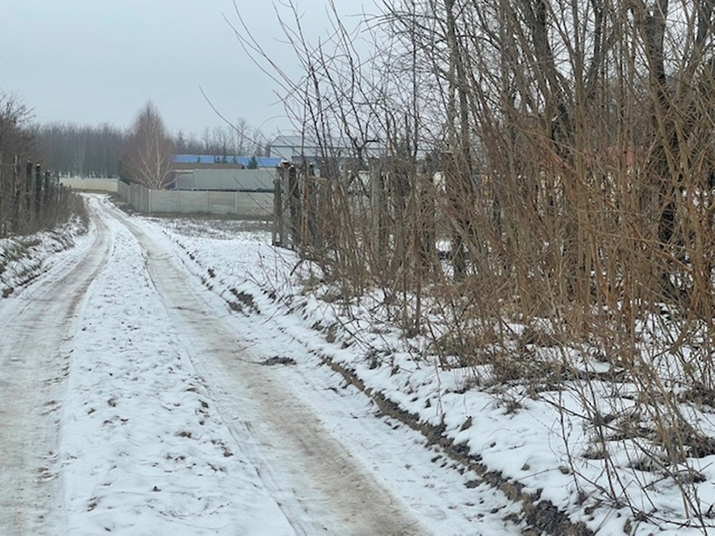 Nyíregyháza-Oros, Zártkert Aranyhomok utcai telek eladó