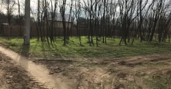Nyíregyháza-Oros, Zártkert Aranyhomok utcai telek eladó