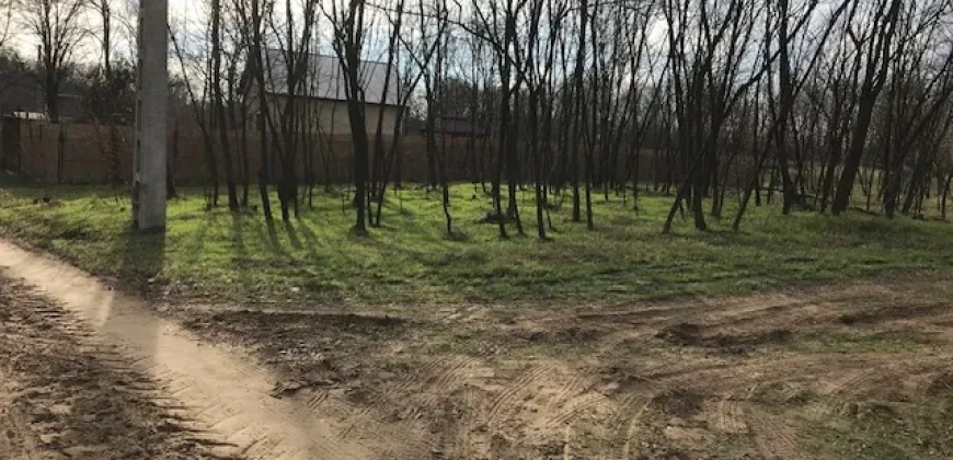 Nyíregyháza-Oros, Zártkert Aranyhomok utcai telek eladó