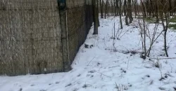 Nyíregyháza-Oros, Zártkert Aranyhomok utcai telek eladó