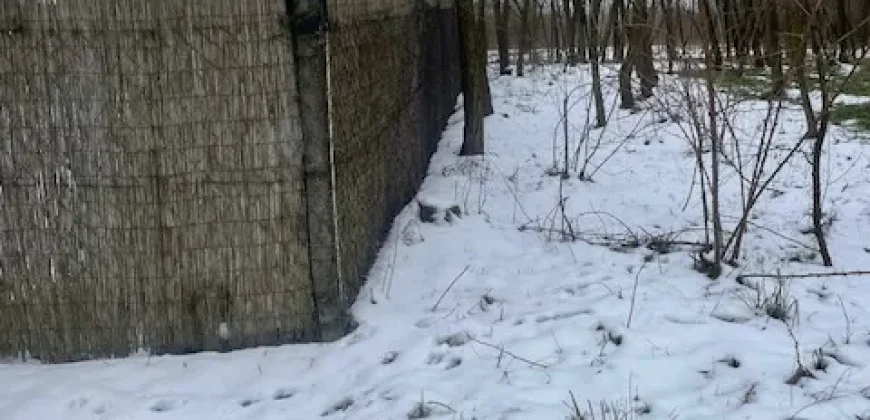 Nyíregyháza-Oros, Zártkert Aranyhomok utcai telek eladó