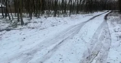 Nyíregyháza-Oros, Zártkert Aranyhomok utcai telek eladó